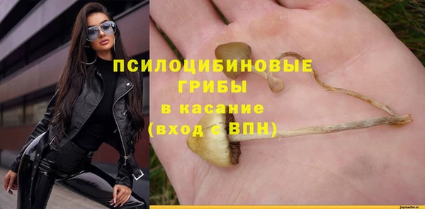 синтетический гашиш Ельня