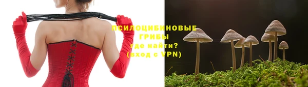 марки lsd Дмитриев