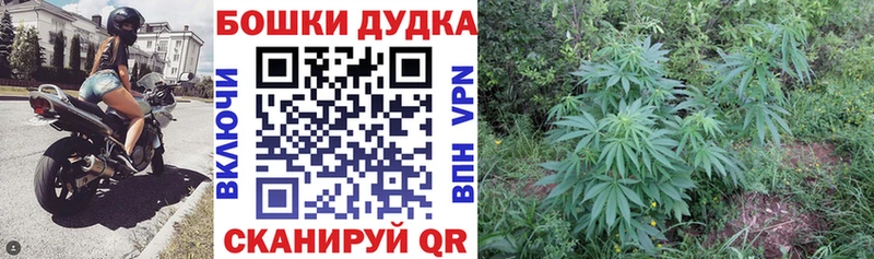 Марихуана THC 21%  Купить где  Пушкино